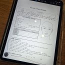 걱정말고 그려봐 | 대구 퍼스널 브로우 위시 브로우 내돈내산 후기