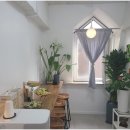 클리니스킨 이미지