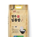 일품 이미지
