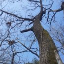 청명농장 이미지