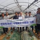 한국청과 이미지