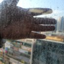 창은사슴동물약품 | 감일 푸르지오 마크베르 이사청소, 에어컨 분해청소 한번에 후기