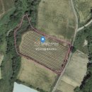 화천공인중개사사무소 이미지