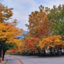 단풍노래연습장 이미지