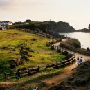 제주도가 이미지