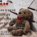 청명에이스 이미지