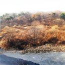 여주-0553 네이버블로그