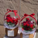 스마일재활의학과의원 이미지