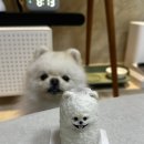 간식파티 | 부산 연산동 강아지 수제간식 | 케이센트 cakscent | 강아지 케이크 강아지 생일상 생일파티 간식 후기