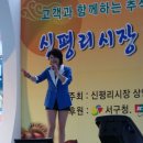 신평리시장 Daum카페