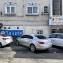 S동물병원 | [정보] 무마취 강아지 스케일링이 가능한 곳_김s 동물 병원