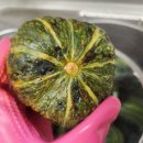 다민농장 이미지