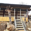 연기향토박물관 이미지