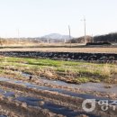 우곡천 이미지