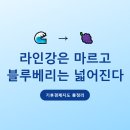 주좋은기름나라새사상셀프주유소 | 라인강 최저 수위, 블루베리 재배지는 넓어진다 | 기후경제지도 총정리
