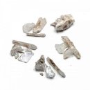 아리랑과학 이미지