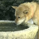 신토불이 이미지