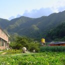 계남초교 이미지