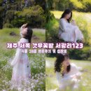 서광리-28 이미지