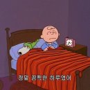 연세하늘안과의원 이미지