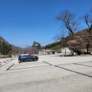 강남-033 | l맛집l 화덕피자가 맛있는 태백산카페 추천 강남사장 재방문 솔직후기