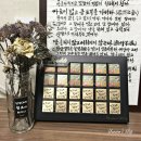 초코셀디