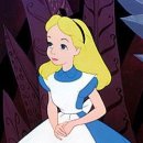 나라꽃안경 이미지