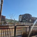 원중초등학교 | 식사동 동국대병원 미용실 "아룸헤어"