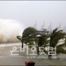 태풍민박 네이버블로그