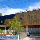 개꿈호텔 이미지