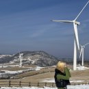 차주목장 이미지