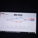 YTN 여론조사. 이미지