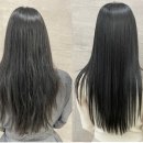 뉴트리테라피 | 목동 미용실 영도디자이너 손상모 복구 끝판왕, 드라마테라피클리닉 실사용 후기