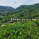 마산양돈장 네이버블로그