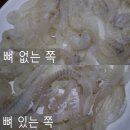 삼원정자참가자미회물회생아귀 | 삼원정자참가자미물회 평리동 맛집 두번 인정