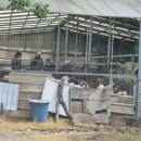 김기수 농장 이미지