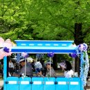 동심의 세계 이미지