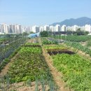 요도천 이미지
