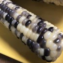 무주냉동 이미지