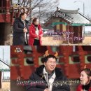 금송아지 이미지