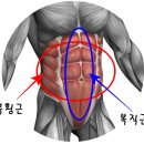 근감소증 예방법2 - 천천히 달리기 이미지