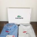 베이직코 이미지