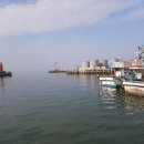 사람이 그리워서 홍 이미지