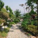 한강농원 이미지