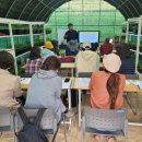 대림농약종묘사 이미지