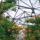 토브하우스커피3 이미지