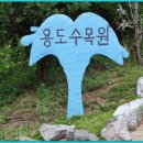 용도수목원 이미지