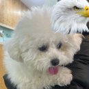 살롱 드 위드멍 이미지