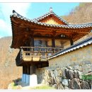 서원34호 Daum카페