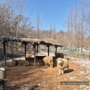 늘솔길근린공원양떼목장 이미지